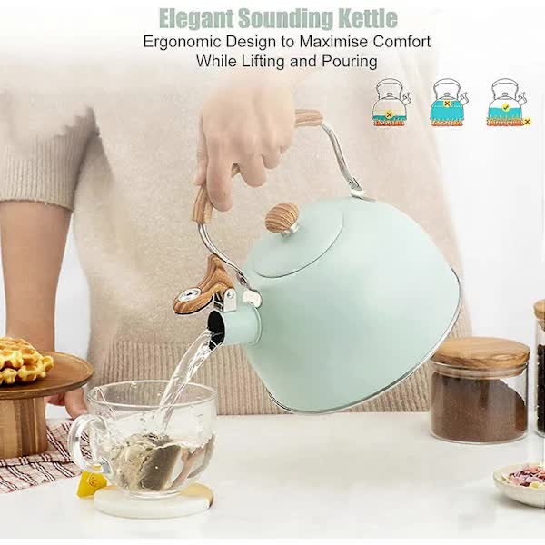 Stainless Steel Whistling Kettle 2.5L for Gas Stoves, Induction Compatible, Ergonomic Handle - Flavour Fushion Cooking Shop
