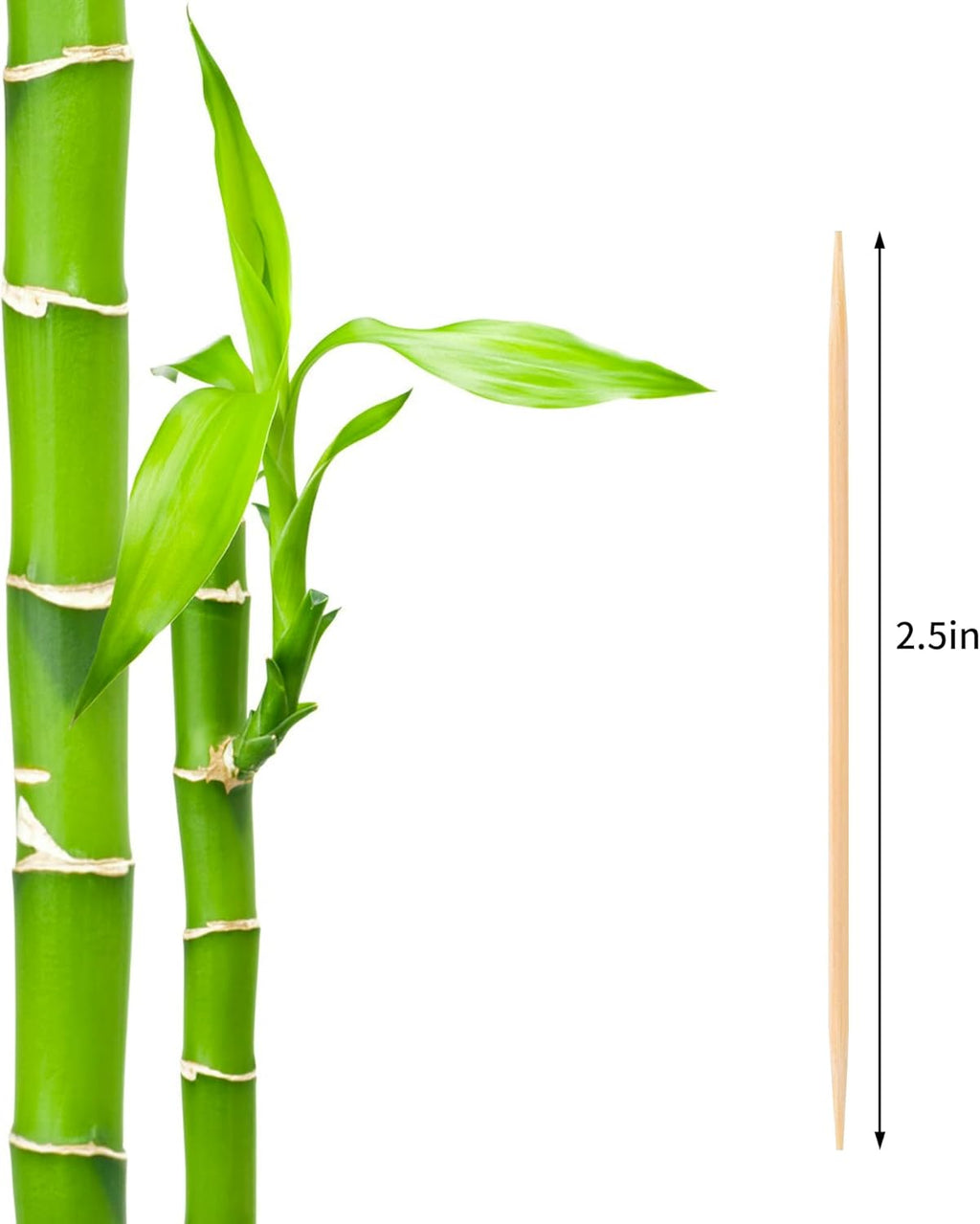 2PS Toothpick Holder with 1000 Count Bamboo Toothpicks for Teeth Cleaning Fruits- Round Double-Pointed Wooden Toothpicks, for Appetizers,Olives
