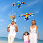 Kids’ Mini Fishing-Rod Kite Set – 3-Pack Bird Designs, Easy-Grip (Multicolor)