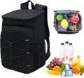 40L Insulated Backpack Cooler Bag Waterproof for Picnic Camping Travel Lunch Grill, Black