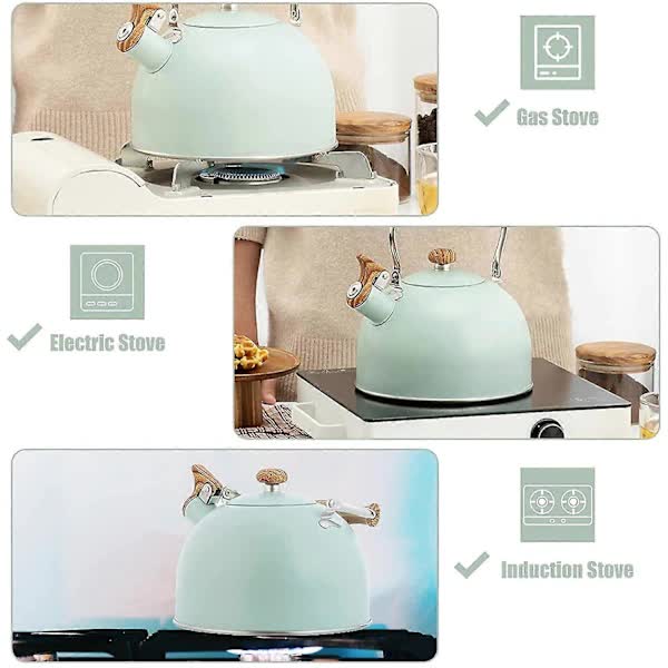 Stainless Steel Whistling Kettle 2.5L for Gas Stoves, Induction Compatible, Ergonomic Handle - Flavour Fushion Cooking Shop