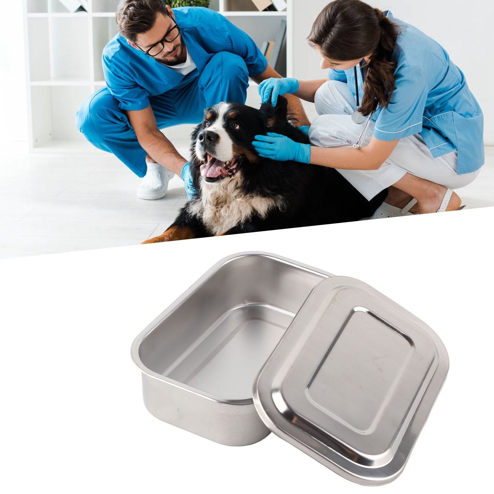 Stainless Steel Needle Box Veterinary Needle Cooking Needle Box Acupuncture Box Veterinary Supplies Equipment